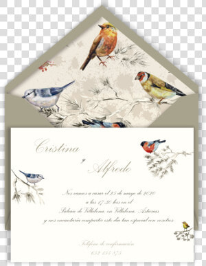 Inv Pajaritos Sb Arena   Bird Painting On Wall  HD Png Download