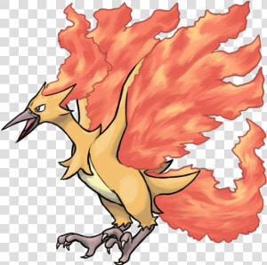 9 Kbyte  Interesting   Mega Moltres Pokemon Drawing  HD Png Download