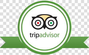 Reviews Witourist   Tripadvisor Png  Transparent Png