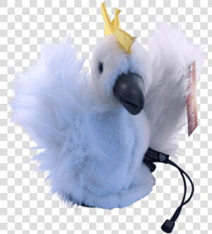 Cockatoo  HD Png Download