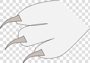 Claws Png   Claw   Claw  Transparent Png