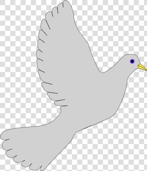 Peace Dove grey   Pigeons And Doves  HD Png Download