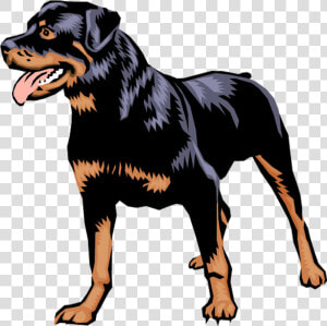 Rottweiler German Pinscher Puppy Dobermann Clip Art   Rottweiler Clipart Png  Transparent Png