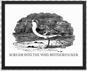 Scream Into The Void Framed Poster Srcset Data   Scream Into The Void  HD Png Download