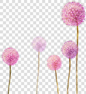  dandelion  wildflowers  spring  pink  flowers   Dandelion Drawing With Color  HD Png Download