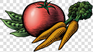 Transparent Carrot Clipart Png   Farmers Market Images Clip Art  Png Download