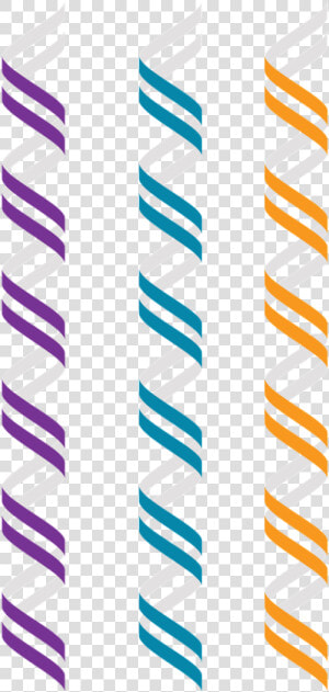 Z Dna Left Handed Double Helix Alternate Geometry Free   Dupla Helice Png  Transparent Png