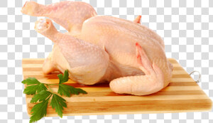 Chicken Leg Png   Raw Chicken Png  Transparent Png