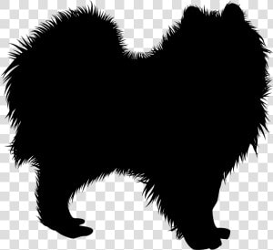 Pomeranian Vector Huge Freebie Download For Powerpoint   Samoyed Silhouette  HD Png Download