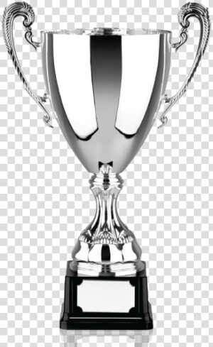 Vip Acrylic Trophies  HD Png Download