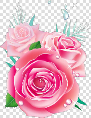 Transparent Watercolor Roses Png   ดอก กุหลาบ สีชมพู Png  Png Download