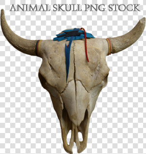 Transparent Animal Skull Png   Png Animal Skull  Png Download