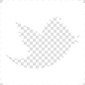 White Twitter   Twitter Logo Png Hd  Transparent Png