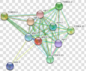 Gba 4 Protein   Circle  HD Png Download