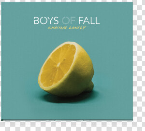 Boysoffall Cl 00 Trans   Meyer Lemon  HD Png Download