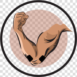 Transparent Bicep Clipart   Tennis Elbow Tens Placement  HD Png Download