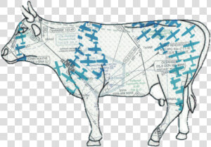 80 Plane Old Heifer   Working Animal  HD Png Download