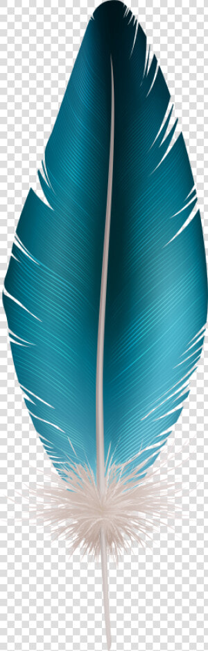 Feather Clip Art Blue   Transparent Background Feather Clipart  HD Png Download