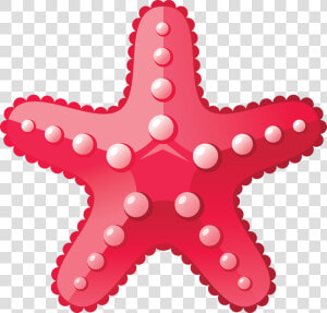 Starfish Png   Estrela Do Mar Png  Transparent Png