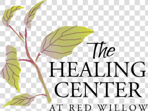 Holistic Healing   Facial Plastic Surgery Logo  HD Png Download