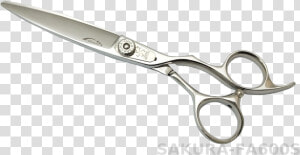 Fa600s  Professional Hair Cutting Shears For Hairdressers   Scissors  HD Png Download