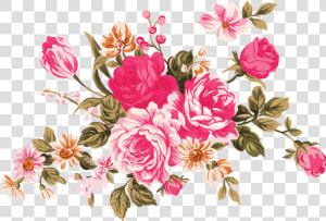 Flower Embroidery Carnation   Carnation Flower Png  Transparent Png