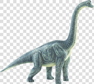 387212 Brachiosaurus  HD Png Download