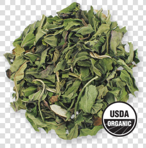 Organic Peppermint From The Jasmine Pearl Tea Co   Spring Greens  HD Png Download