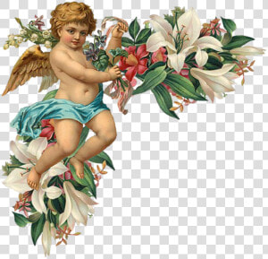 Engel Auf Blumenranken   Cherub Vintage  HD Png Download