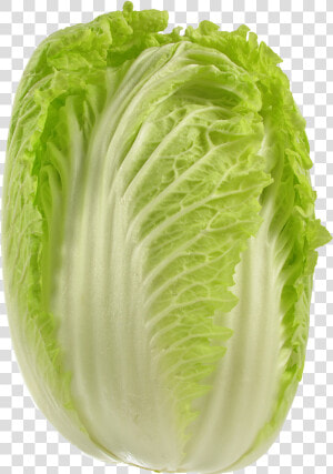 Cabbage Png Picture   Wong Bok Cabbage  Transparent Png