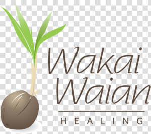 Wakai Waian Healing Logo   Natural Foods  HD Png Download