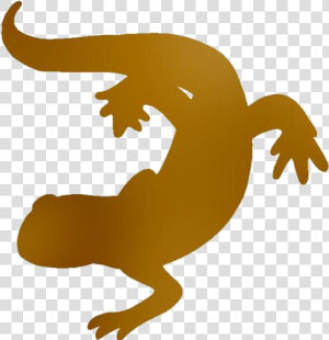 Salamander Png Transparent Images  Png Download