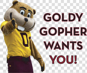 Goldy Gopher Wants You   Teddy Bear  HD Png Download