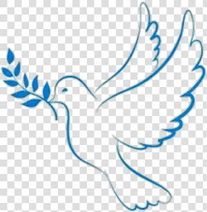 Pomba Paz Piece  lucianoballack   Dove Of Peace  HD Png Download