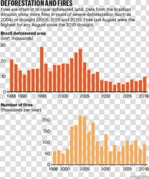 Deforestation And Fires   Amazon Rainforest Fires Graph  HD Png Download