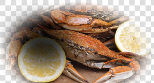 Many Calories In Crabs  HD Png Download