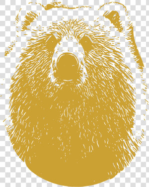 Punxsutawney Phil  HD Png Download