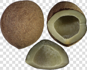 Tender Fresh Coconuts   Copra Png  Transparent Png