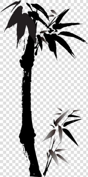 Ink Bamboo Vector Png Download   Ve Hinh Cay Tre  Transparent Png