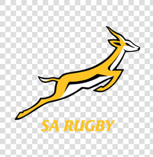 Logo Rug Horizontale Variant Voorkeursvariant Logo   Logo South Africa Rugby  HD Png Download