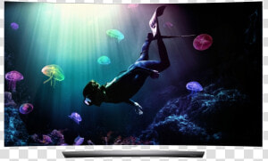 Lg Oled Tv 55 Inch Price In India  HD Png Download