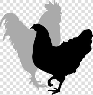 Rooster Silhouette Clip Art   Clipart Hen And Rooster  HD Png Download