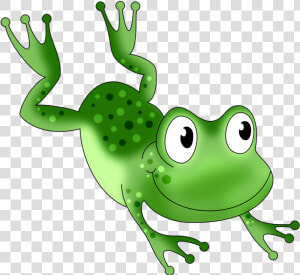 Transparent Frogs Clipart   Jumping Frog Clipart Png  Png Download