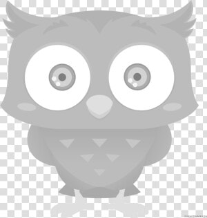 Transparent Images Of Owls Clipart  HD Png Download