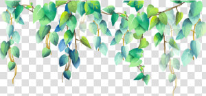  green  plant  plants  png  pngstickers   Border Watercolor Leaves Png  Transparent Png