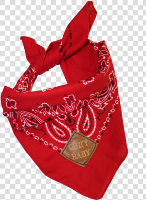 Best Friend Pet Bandanas And Baby Pets   Bag  HD Png Download