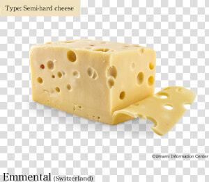 Semi hard Cheese   Emmental   Information Of Cheese  HD Png Download