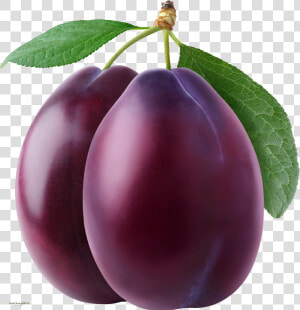 Plum Png Image   Plum Png  Transparent Png