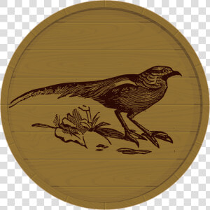 Quail Png  Transparent Png