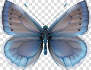 Decoupage Butterflies In Blue  HD Png Download